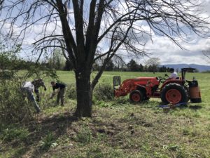 Men clearing the land with a tractor